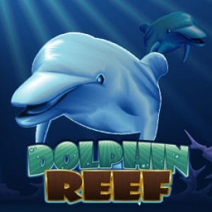 Dolphin Reef™